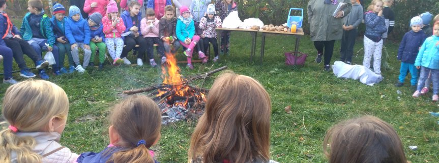Święto Pieczonego Ziemniaka